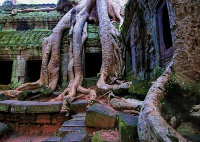 Social History & Cultural Tour to Cambodia