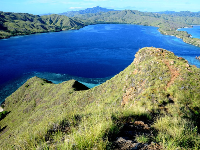 See how you can add Komodo dragron watching, snorkling and beach time to your Indonesia Holiday.